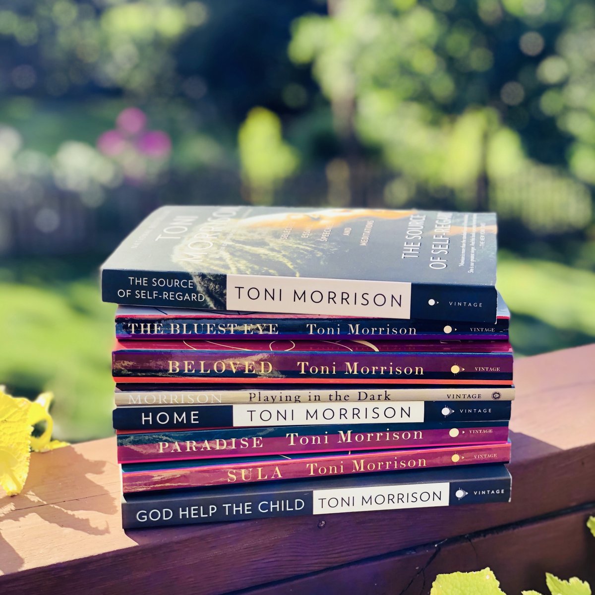 IReadVintage's tweet photo. Thinking of the life and work of the incredible Toni Morrison, who passed away one year ago today. 💜 #RIPToniMorrison https://t.co/FulWUd4zVd