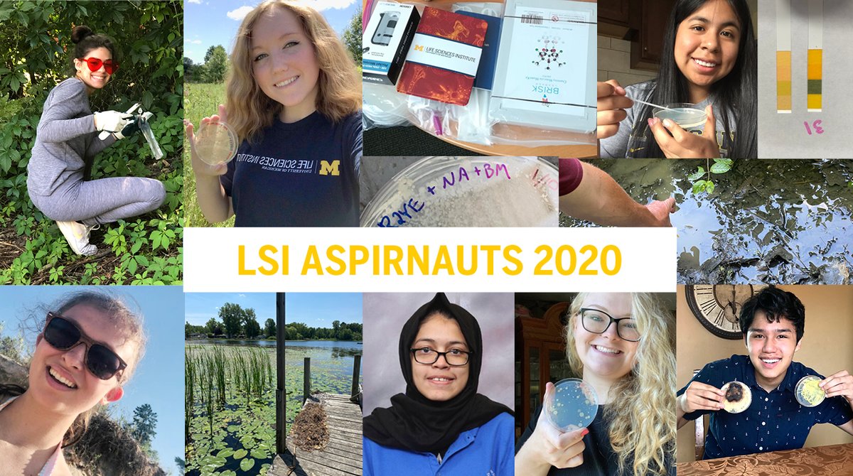 UMLifeSciences's tweet photo. A glimpse into another successful year with LSI Aspirnauts, who participated remotely from across Michigan in hands-on #NaturalProject research and virtual college-prep activities. https://t.co/5zwisTHa9i