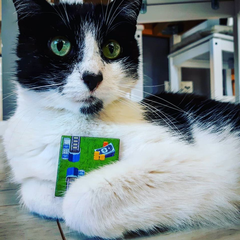 BoardAndDice's tweet photo. Traintopia: a game about carefully building a meeple pyramid and then tipping it over, frantically looking for the right track, and fighting your cat for that precious tile.
#boardgame #train #traintopia #cat #meeple #boardgamepics #stayhome #playgames #allthatworkfornothing https://t.co/39s4HY5cC2