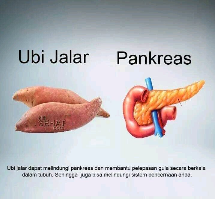 Mahesyailendra's tweet image. Kemiripan Buah-buahan dengan Organ dan manfaanya.