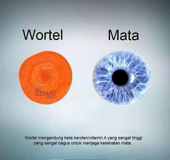 Mahesyailendra's tweet image. Kemiripan Buah-buahan dengan Organ dan manfaanya.