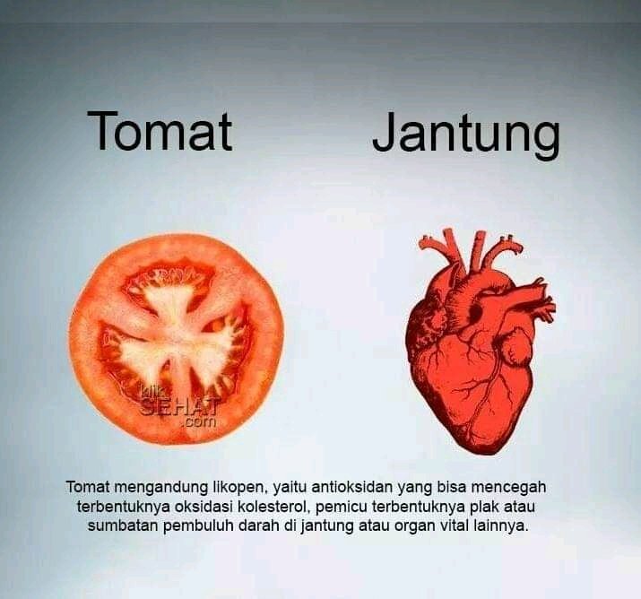 Mahesyailendra's tweet image. Kemiripan Buah-buahan dengan Organ dan manfaanya.