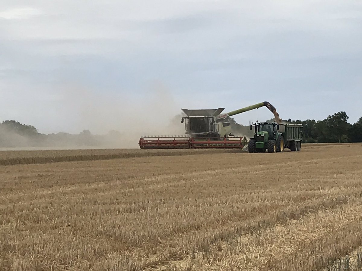 Geoff Flather tweet media