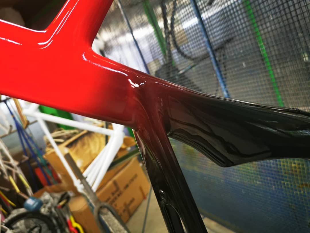 Velo Magic tweet media
