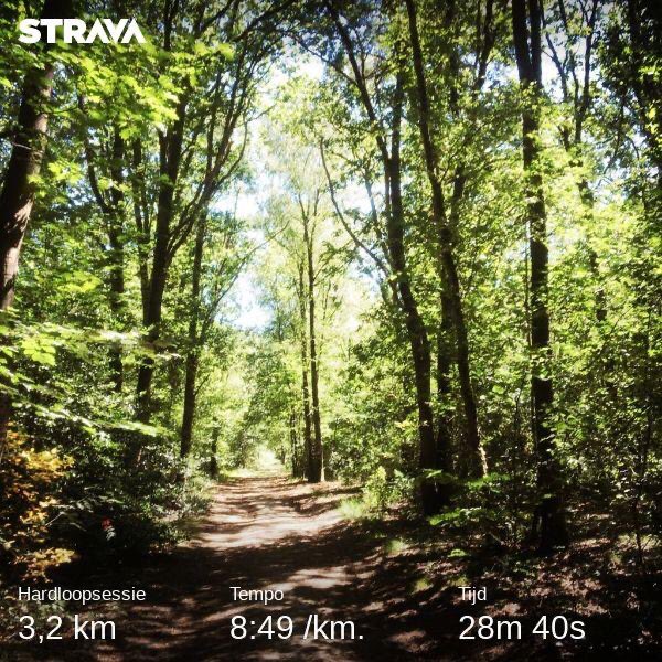 Just_Yazz's tweet photo. #hillrepeats #puretrail #anyweatherisrunningweather #vughterheide https://t.co/IdlBebTb5N