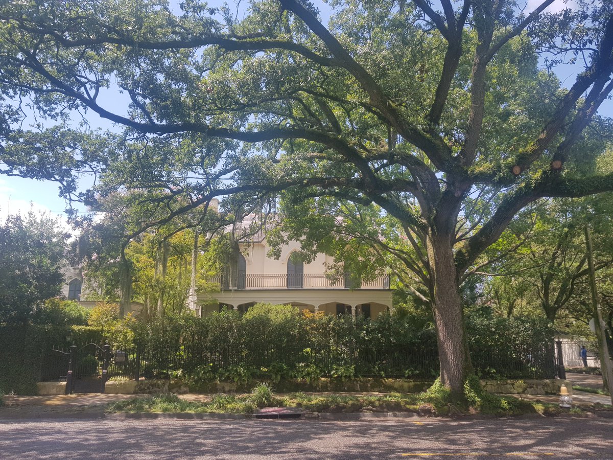 19/08/05Lee circle (where the statue of Confederate General Robert E. Lee once stood), Ogden Museum of Southern Art, the Garden district and Lafayette cemetery. #MLB  #DiamondsOnCanvas  #AndyBrown