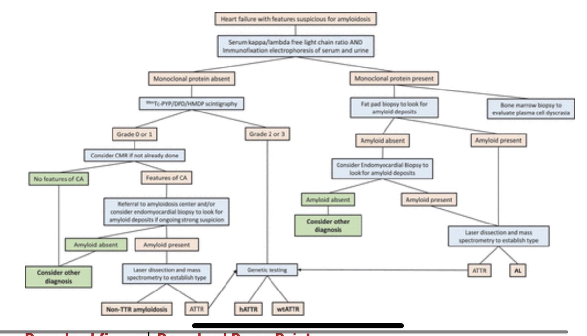 hvanspall's tweet photo. A comprehensive case-based review of the diagnostic workup of #CardiacAmyloid in @Circ_AHA 
https://t.co/fUxVAs3Ts0 
#ATTR #AL #Amyloidosis @DrClaudiusMahr @HeartOTXHeartMD @DrRajivsankar https://t.co/zrOFWhrxZd