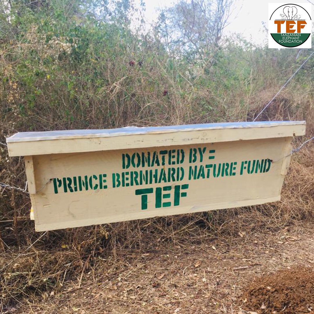 Tanzanian Elephant Foundation tweet media
