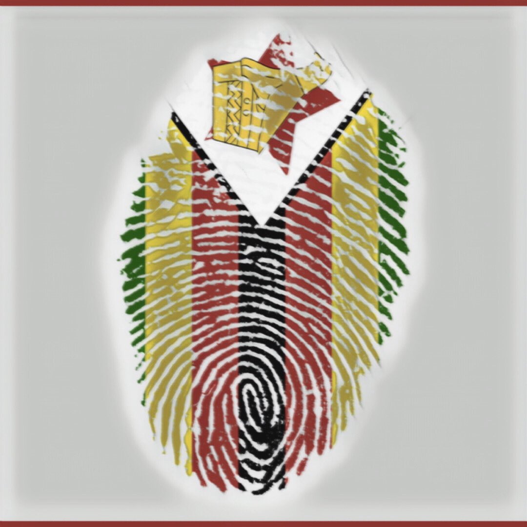 Only1OfficialTG's tweet photo. #ZimbabweanslivesMatter https://t.co/qAokVOJOCJ