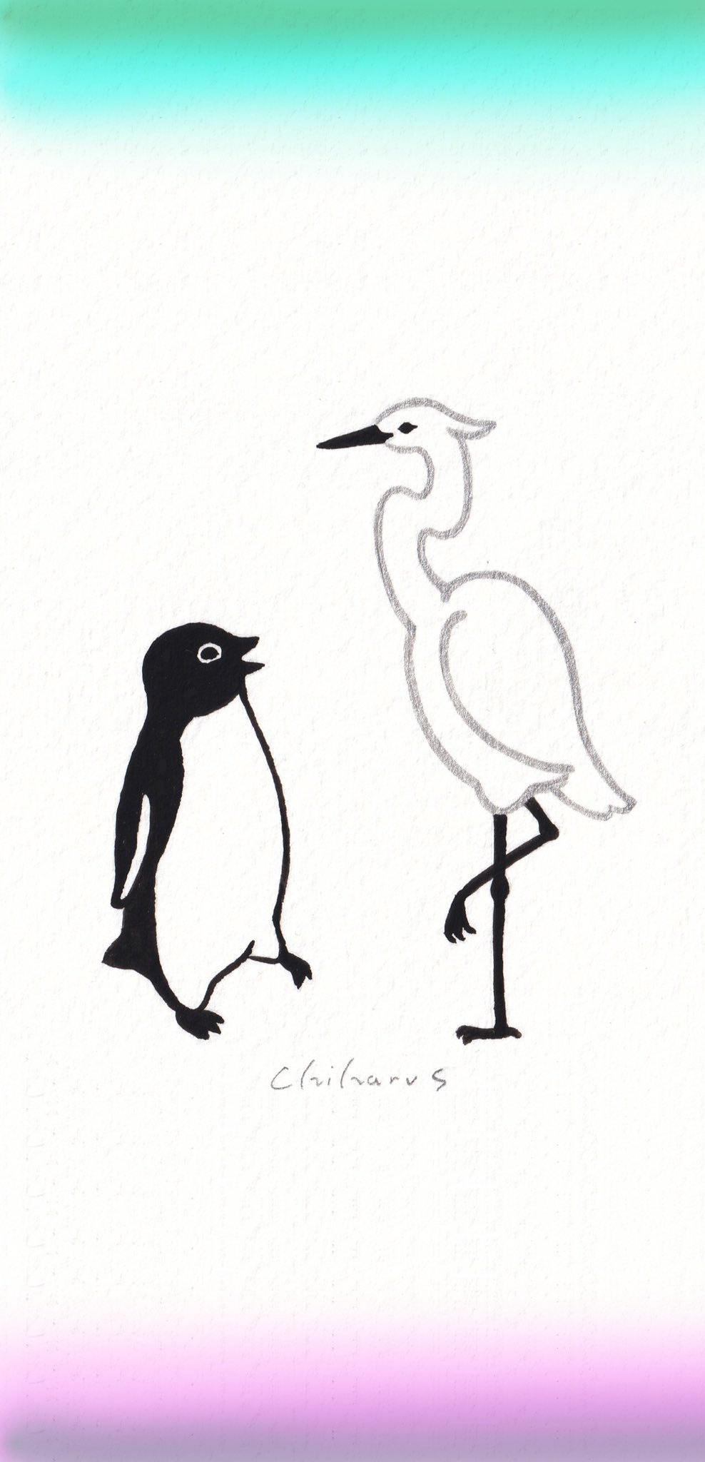 さかざきちはる 23年春の展覧会準備中 夏の壁紙作ってみました ペンギンとシラサギ 涼しげなふたり ペンギン百態 壁紙 T Co Yhrmi17zgg Twitter