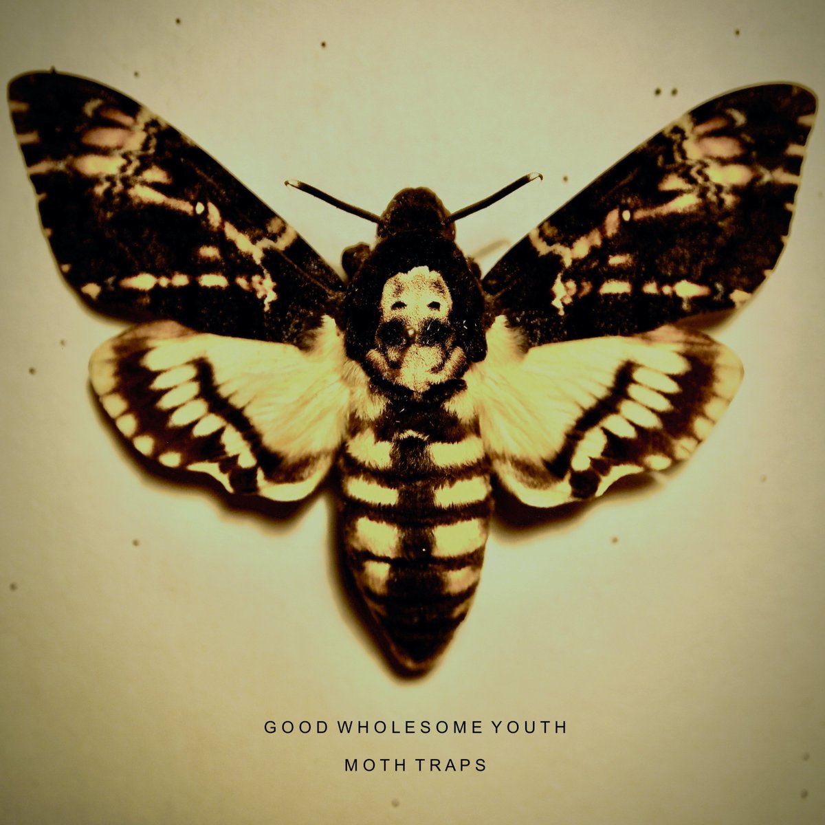 ExposedCode's tweet image. 