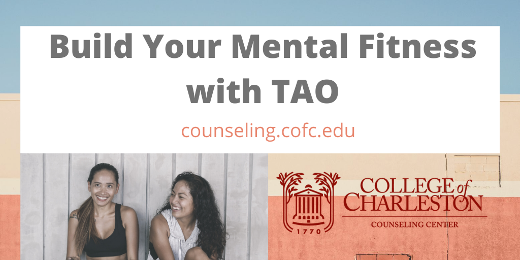 #CofC, as we prepared for an unprecedented semester, it is time to strengthen our #resiliency &amp; #coping. TAO is perfect for this. Click on the different modules and see the different sections that can help with #mentalfitness like "Sources of Well Being."
counseling.cofc.edu