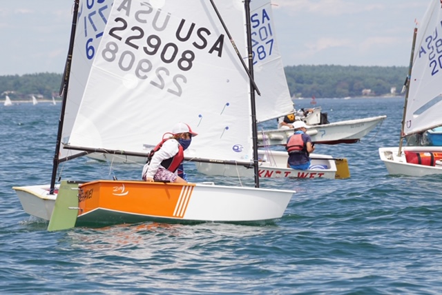 ZIM Sailing tweet media