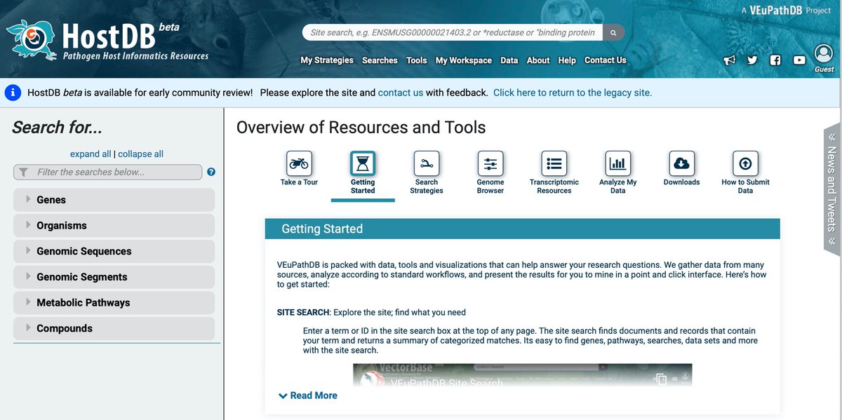 veupathdb's tweet image. !!!Webinar!!! Host response to pathogen infection - come learn all about #HostDB @fungidb @VectorBase Thursday August 6th at 10AM US Eastern. Register here: attendee.gotowebinar.com/register/47206…