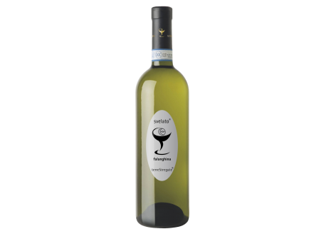 VinissimoUK's tweet photo. Are you looking for the perfect accompaniment for seafood?

Try our Svelato Falanghina del Sannio DOP by @terrestregate.

Click here: https://t.co/iHGUG0akvV

#foodforfish #Italianwine #fishaccompaniment #perfectwithfish #perfectwithseafood https://t.co/JsrlhQLQuR