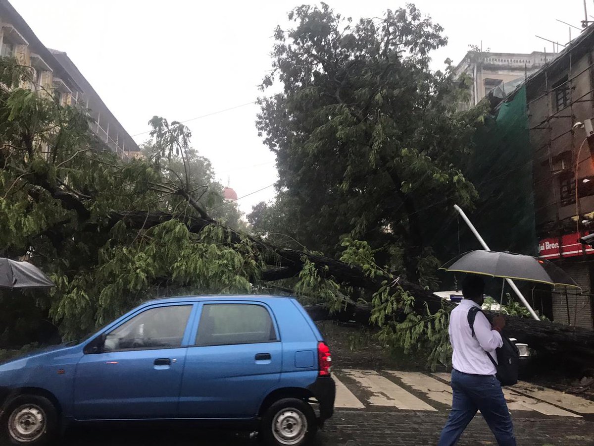 The strong winds have claimed another tree-fall. Visual from Electric House, Colaba.Follow LIVE updates on  #MumbaiRains here-  http://bit.ly/33u5j32 