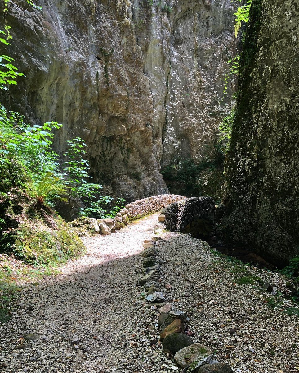 La #MontagnaSpaccata è un luogo incantato dove la natura ha creato un canyon nella roccia. Da scoprire lungo un percorso attrezzato, tra favole e leggende ed è ancor più magico di notte! #RecoaroMille bit.ly/31jbtjR
 
#VisitVeneto
(foto IG fmasaro66)