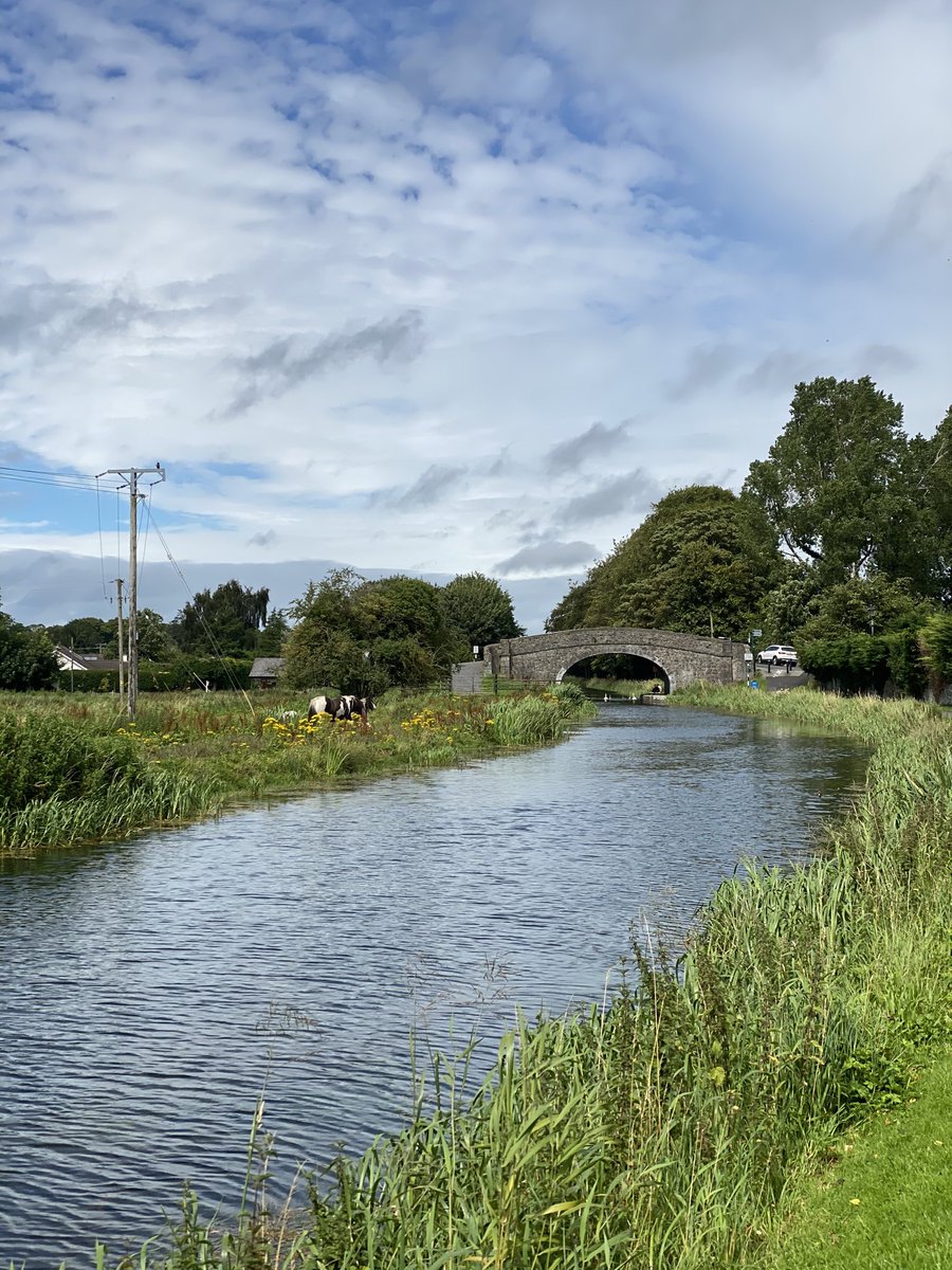 Taking a late lunch stroll and feeing lucky that this is only 5 minutes from my office in Naas 😎⁦<a href="/NaasBall/">The Naas Ball</a>⁩ ⁦<a href="/naastown/">Naas Town</a>⁩
