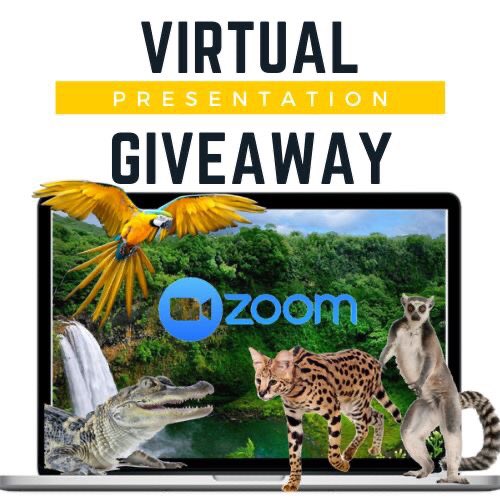 🎉 GIVEAWAY TIME! Head over to our Facebook page for our virtual presentation giveaway!