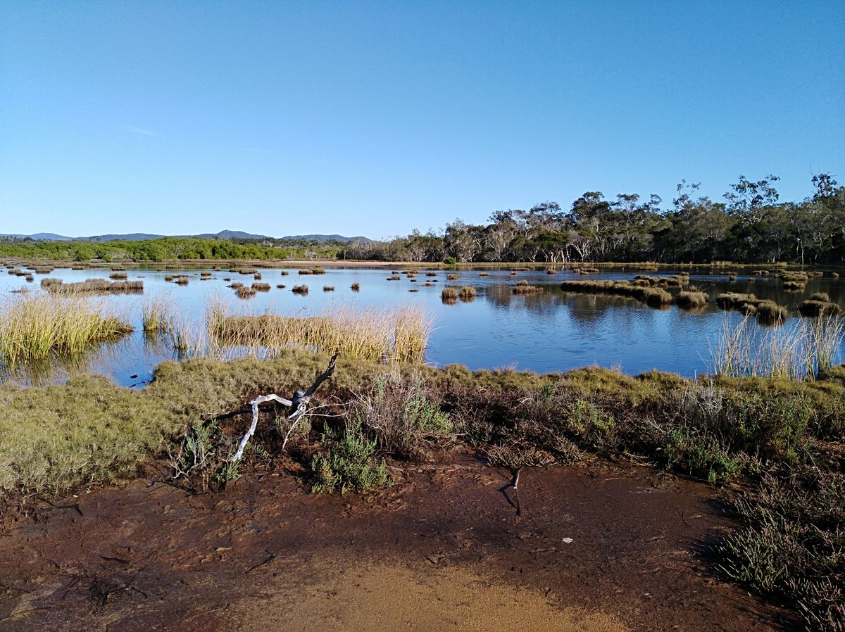 The UN declared the decade 2021-2030 on ecosystem restoration.  Our response to this call, focusing on coastal ecosytsems, @FrontMarineSci has reached 5000 views in 5mths.  So much interest #Coastal #wetlands #restorationdecade #UnitedNations 

frontiersin.org/articles/10.33…