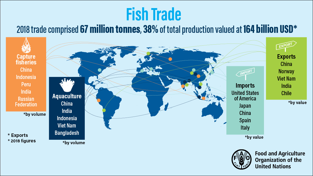 FAOfish's tweet photo. It's #FishFriday and we want to celebrate with #FishTrivia! How much #DYK about #fishtrade?
Learn this & much more in #SOFIA2020: https://t.co/z3fLrzQ3ns https://t.co/IsdW6yTzMx