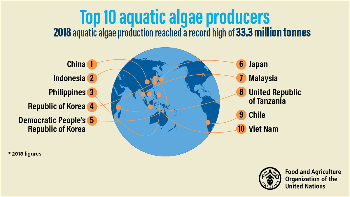 FAOfish's tweet photo. It's #FishFriday and we know you're eager for new #FishTrivia! #DYK the world's top #seaweed producers?
Learn this & much more in #SOFIA2020: https://t.co/z3fLrzQ3ns https://t.co/kltBnG0gpY