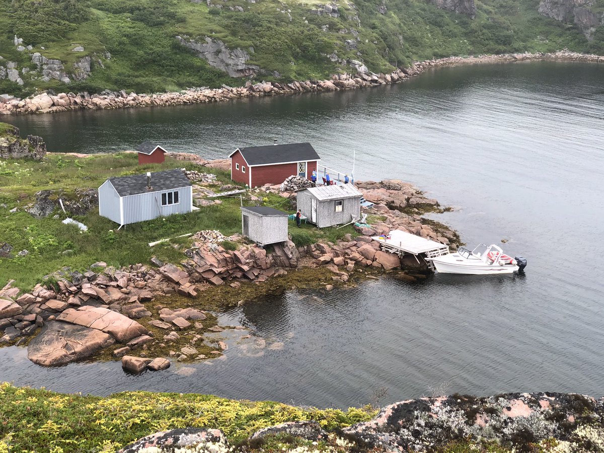 Labrador Straits 🇺🇦 tweet media