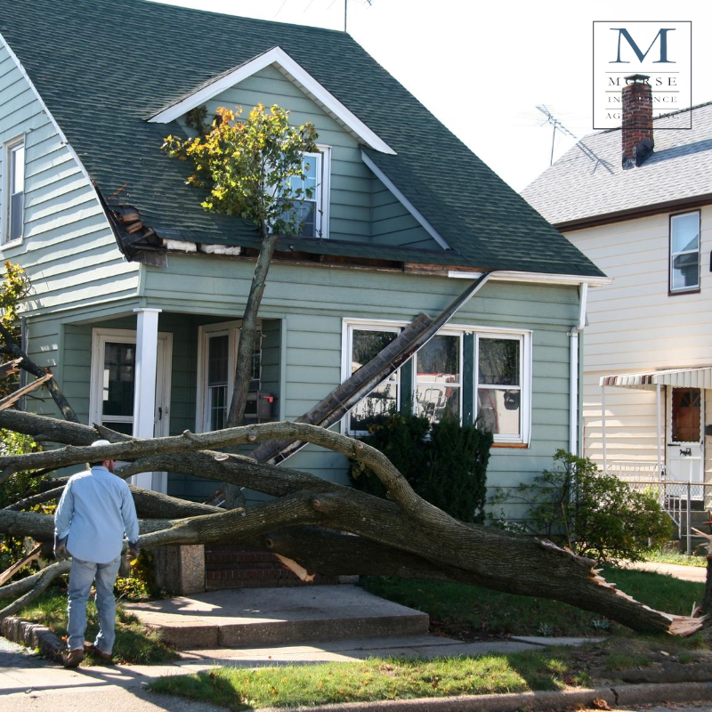 You may be wondering what your homeowners' insurance policy covers in regards to wind damage or falling objects.

Go to our website to learn more about what homeowners insurance covers or call our office to speak with an agent.

💻: bit.ly/2PpPtOX
📲: 508-238-0056