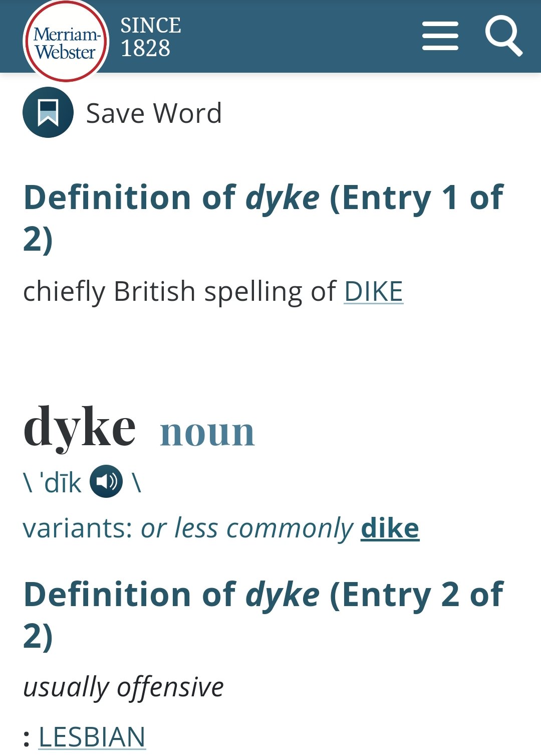 Dyke definition