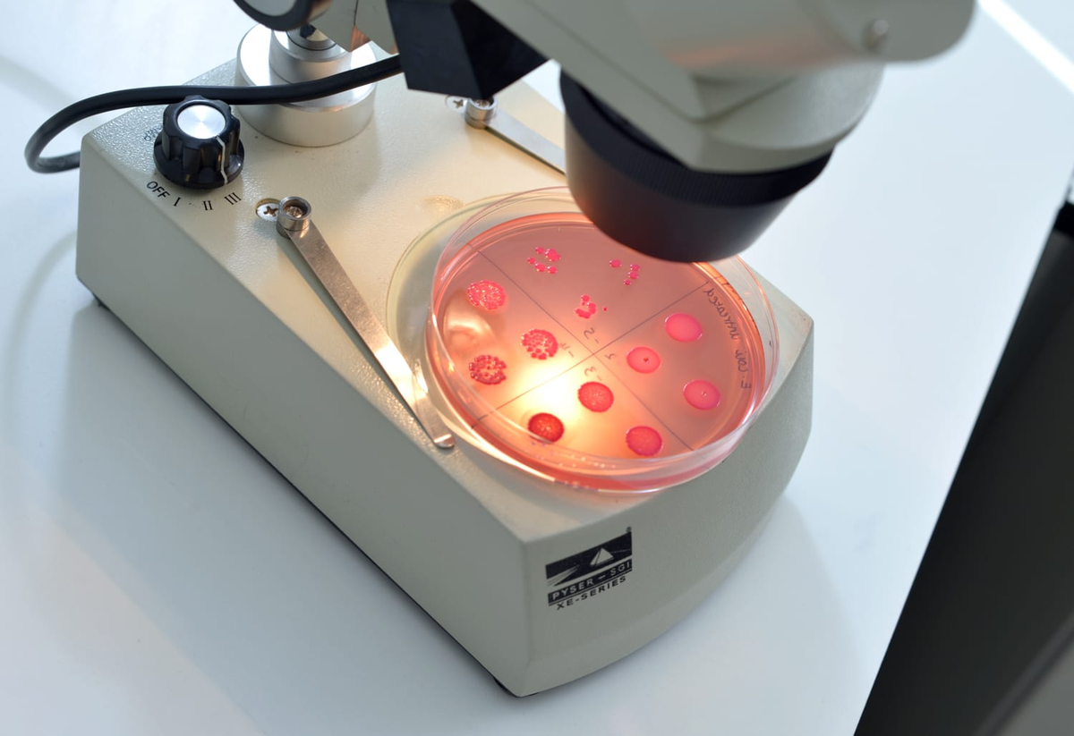 Our laboratories and R&amp;D facilities are staffed with the most highly qualified chemists, microbiologists, #fermentation specialists &amp; engineers, including several PhD scientists - these are the people bringing our products to life.

Take a look → bit.ly/3icKNZ7