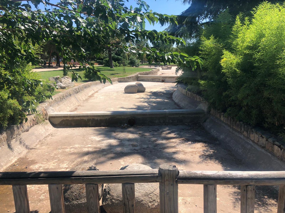 Bienestar Animal Latina tweet media