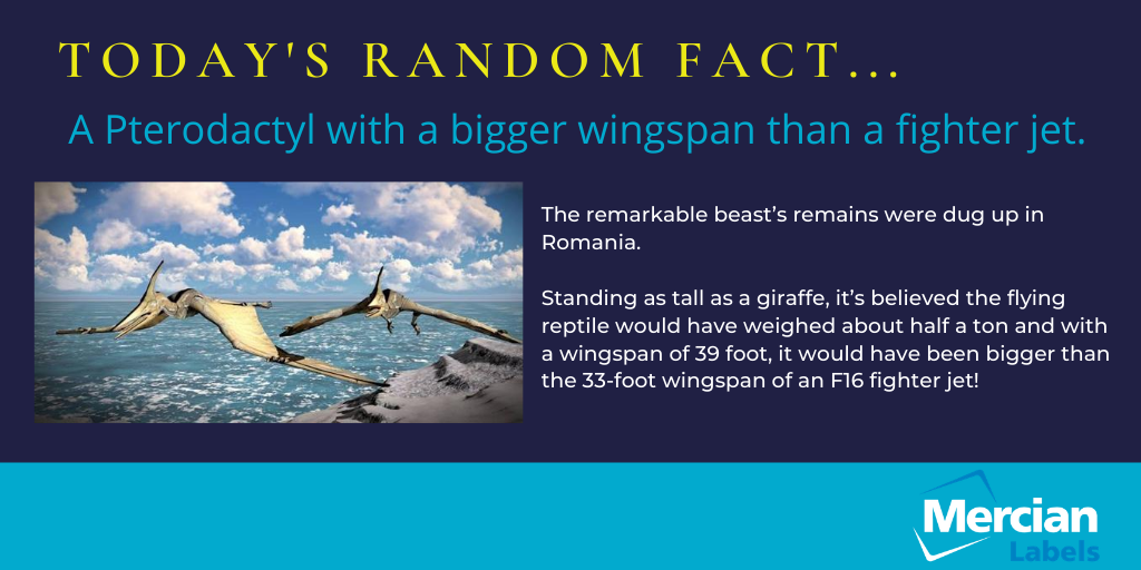 MercianLabels's tweet image. #randomfactoftheday #randomfacts #mercianlabels #customlabels #printedlabels #labels