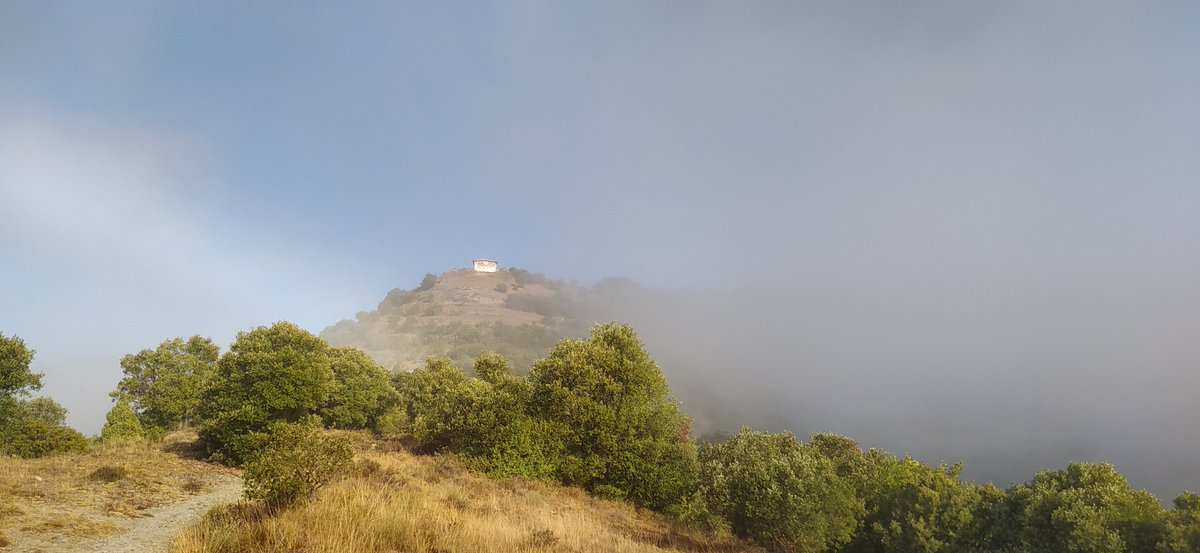 ArtArturoagjim's tweet image. Despertando el día. #Letona. #Furgoneteando.