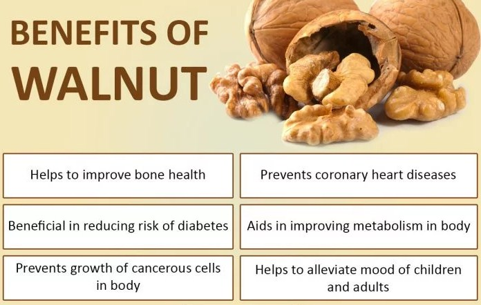 9. WALNUTS: Walnuts are a vegetarian source of omega-3 fatty acids. Eating regular servings of walnuts — about one handful daily — may help fight asthma and other respiratory ailments according to the “Journal of the American College of Nutrition.”