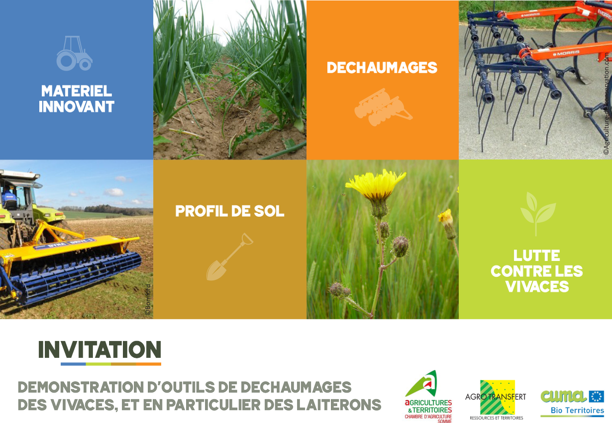 AgroTransfertRT's tweet photo. [EVENT] Venez voir l'effet des déchaumages sur les racines de vivaces le MERCREDI 26 AOUT, 14h à Heudicourt (80) ! Par @AgroTransfertRT @Chambagri80_div @CUMABioTerritoires Inscriptions https://t.co/f90jwZ9jwi Masques obligatoires. 

#vivaces #laiteron #VivLéBio #matérielinnovant https://t.co/B23hUiLKfM