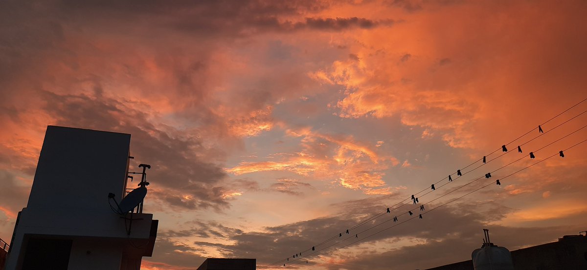 _manya_694's tweet photo. Sirf Inka Rang Badalna Laazmi hai !!
#sunsetphotography https://t.co/wFDKvPTEBF