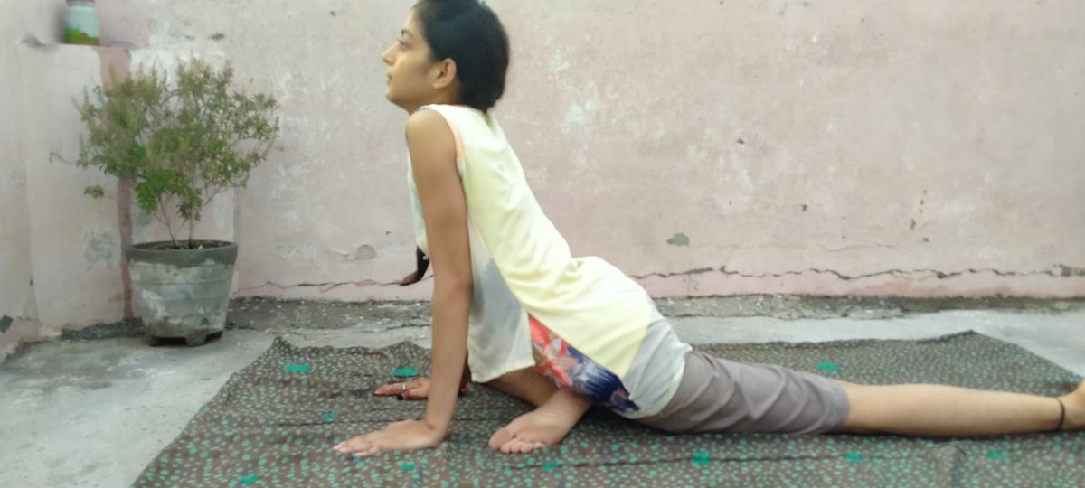 ijyotichauhan's tweet image. Learning #PigeonPose today at home, Day 12 of #30Days30Aasan. Initiative by @SohanYogaIndia 🧘

Have your performed this ? Comment below 🤗

@narendramodi
@ipskabra
@sonalgoelias
@imarun_chauhan

Passing this challenge to 👇
@IpsShweta @thesuniltaneja @smittal_ips @deepolice12