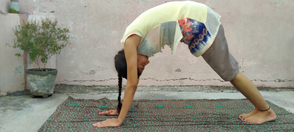 ijyotichauhan's tweet image. Learning #PigeonPose today at home, Day 12 of #30Days30Aasan. Initiative by @SohanYogaIndia 🧘

Have your performed this ? Comment below 🤗

@narendramodi
@ipskabra
@sonalgoelias
@imarun_chauhan

Passing this challenge to 👇
@IpsShweta @thesuniltaneja @smittal_ips @deepolice12