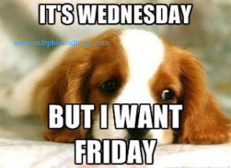 PhixCafe's tweet photo. Let us help you get over the hump. Come on in and get your Phix.

#PhixedIt #CafePhix #HappyHumpDay https://t.co/EBngLeqVcl