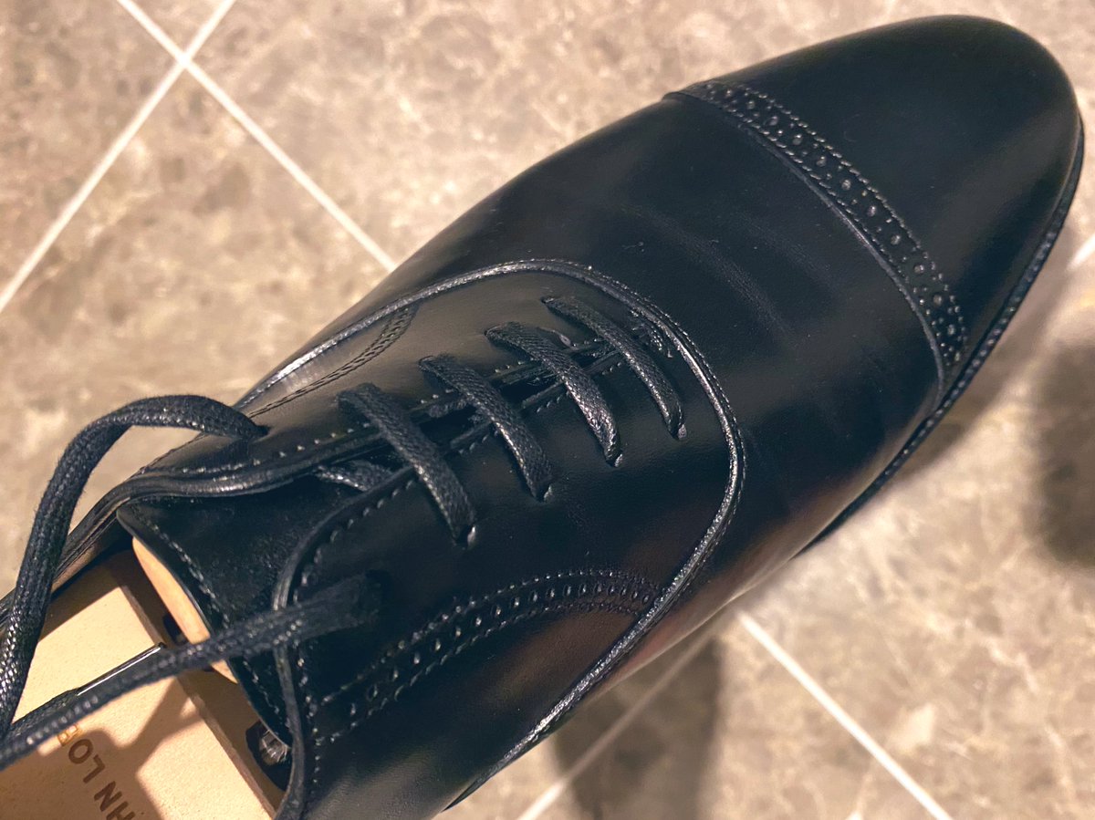 bengoshinokuzu's tweet photo. フィリップⅡしか勝たん
たまに手の甲で撫でたくなるw
#johnlobb #philip2 https://t.co/3CU3G79zHH