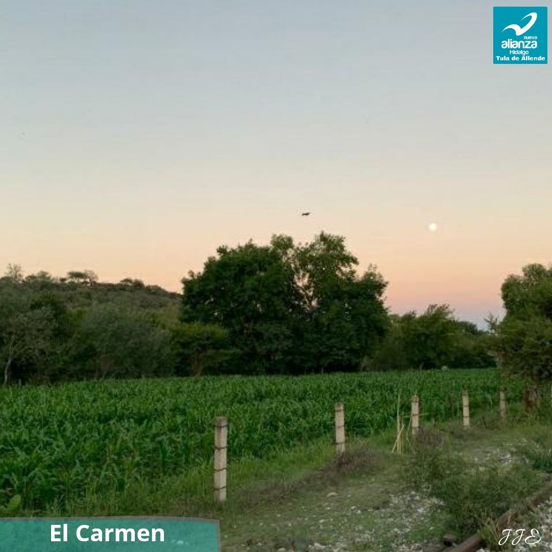 NuevaTula's tweet photo. #ConociendoTula
El Carmen
#TulaTurquesa 💙 https://t.co/sbF9nfBZLy