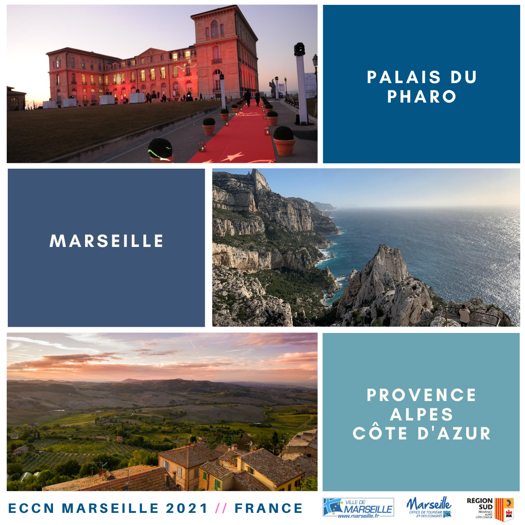 2021Eccn's tweet photo. ✈️ 🇫🇷 Destination Marseille📍

Find out more about the congress location:

https://t.co/revoWMmuZh

@marseille @CHOOSEMARSEILLE @CRT_RegionSud 

#ECCN #ECCN2021 #ClinicalNeurophysiology #congress #neuroscience #neurophysiology #medicaltraining #medecine #healthcare https://t.co/wF1TZSBOJU