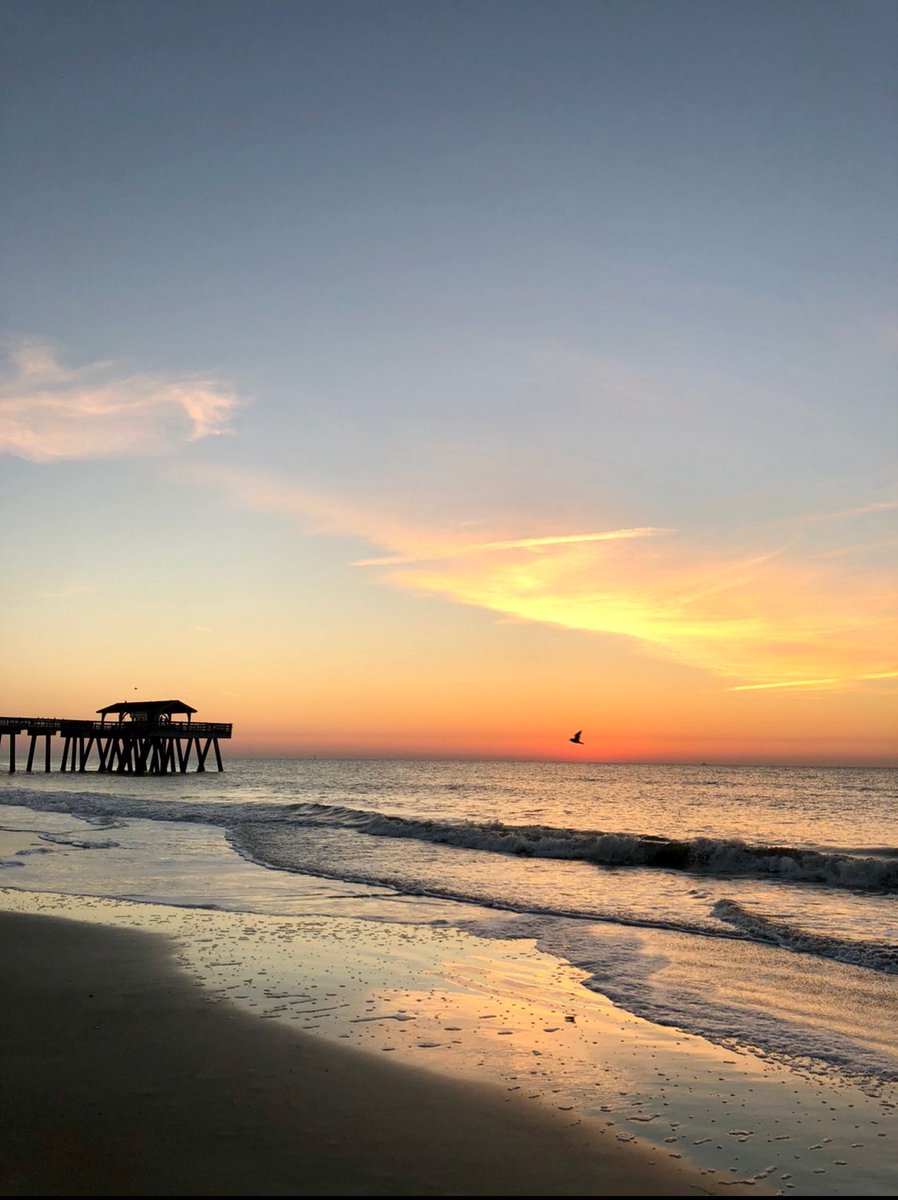 VisitSavannah's tweet image. Guess which beach in Georgia @ReadersDigest says is the best! bit.ly/319dcbE