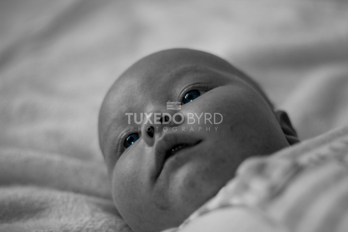 TuxedoByrd's tweet image. Here are some highlights from our first studio photography session with our fantastic young model, Oliver. Thank you to toby and @teerileeigh for spending the time and providing us with Oliver for such a cute first session.
instagram.com/p/CDgopnDpvpY/…