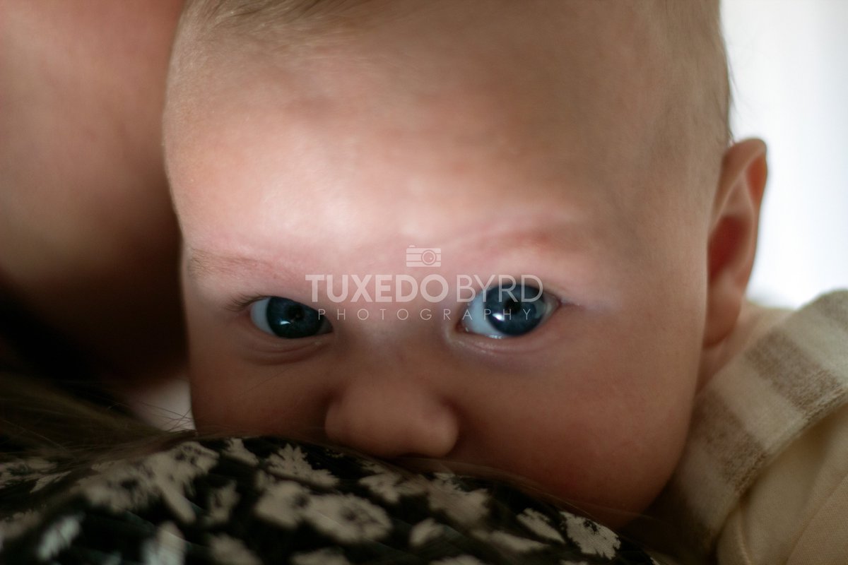 TuxedoByrd's tweet image. Here are some highlights from our first studio photography session with our fantastic young model, Oliver. Thank you to toby and @teerileeigh for spending the time and providing us with Oliver for such a cute first session.
instagram.com/p/CDgopnDpvpY/…