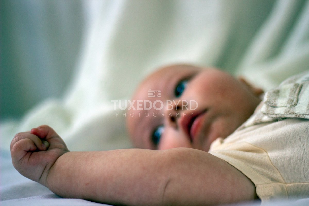 TuxedoByrd's tweet image. Here are some highlights from our first studio photography session with our fantastic young model, Oliver. Thank you to toby and @teerileeigh for spending the time and providing us with Oliver for such a cute first session.
instagram.com/p/CDgopnDpvpY/…