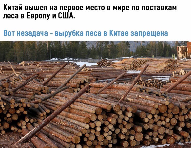 Случайные Факты (@fact_yes) on Twitter photo 