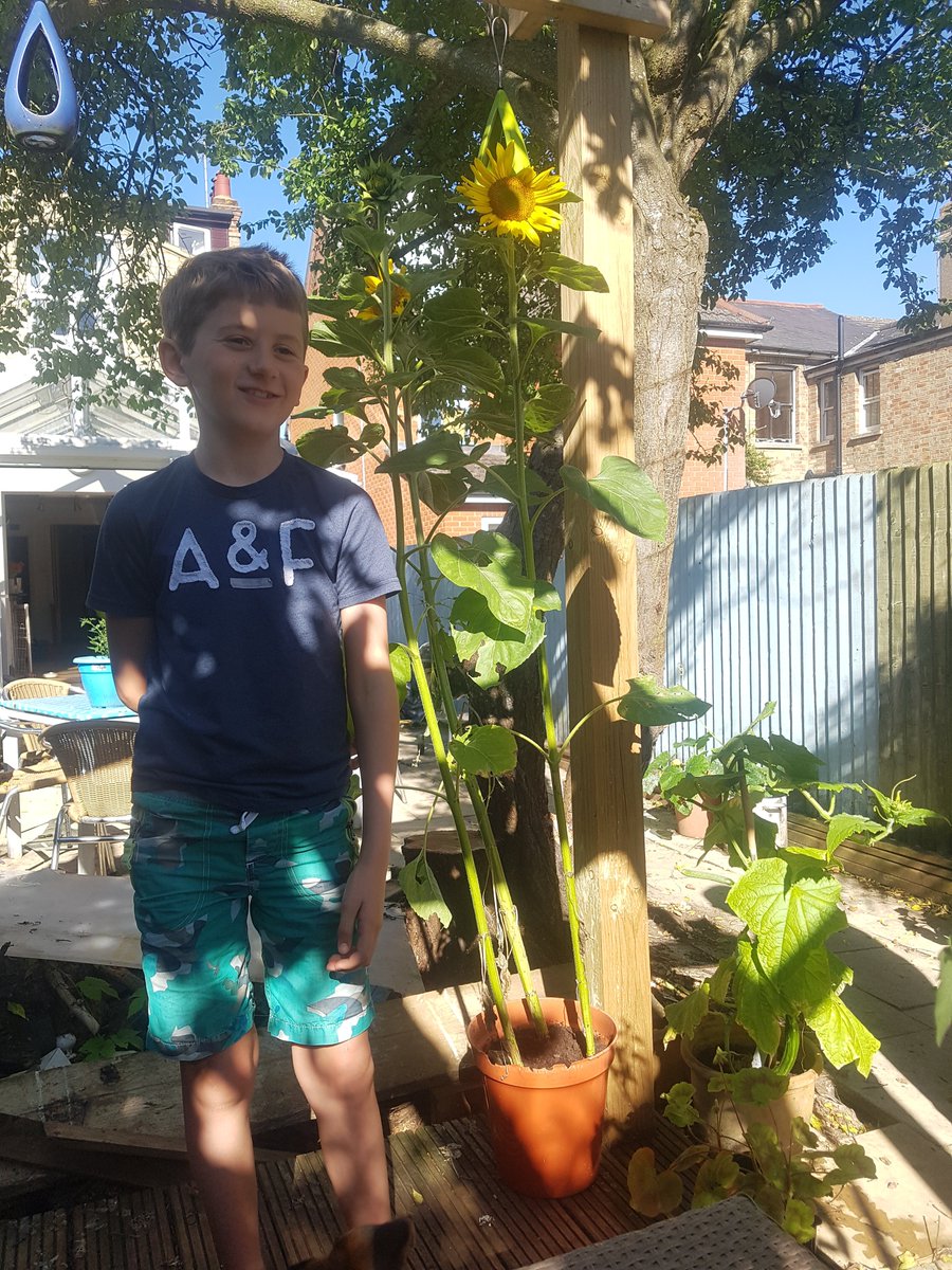 Colette Goring-Farro tweet media