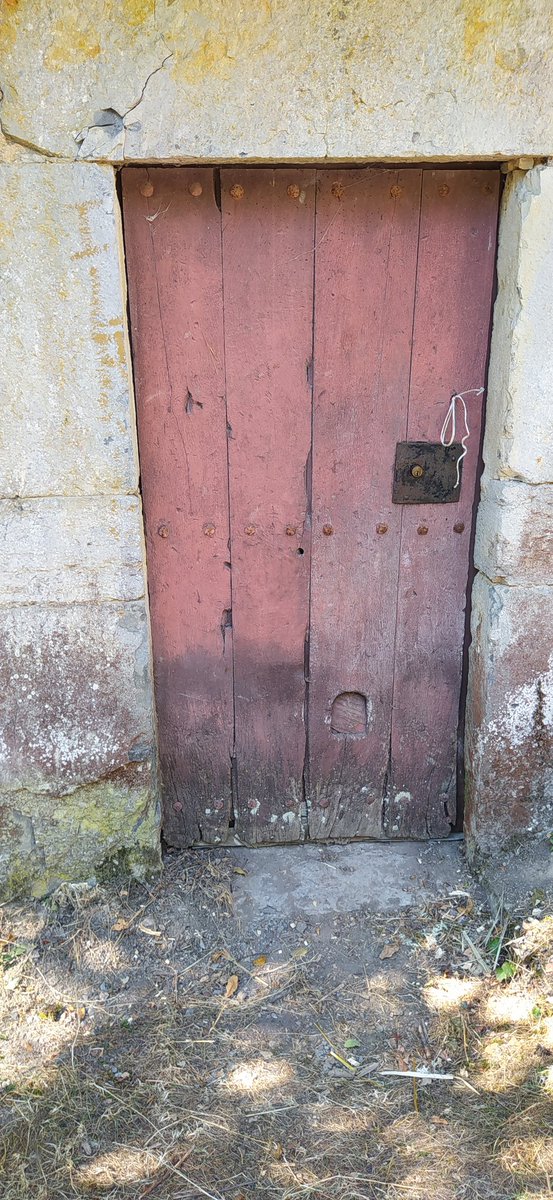 ArtArturoagjim's tweet image. #Letona.