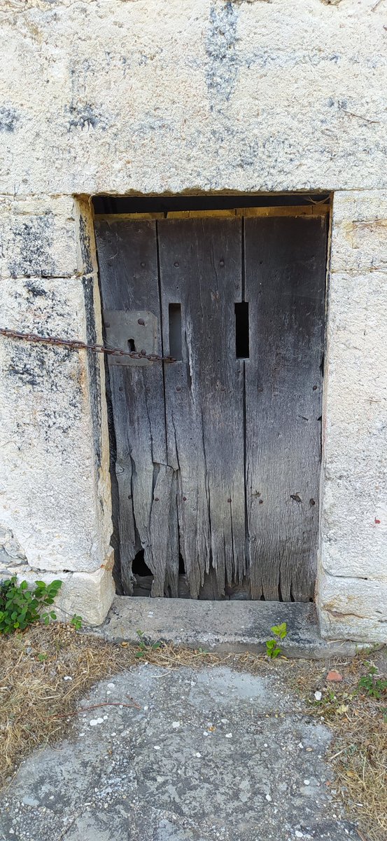 ArtArturoagjim's tweet image. #Letona.